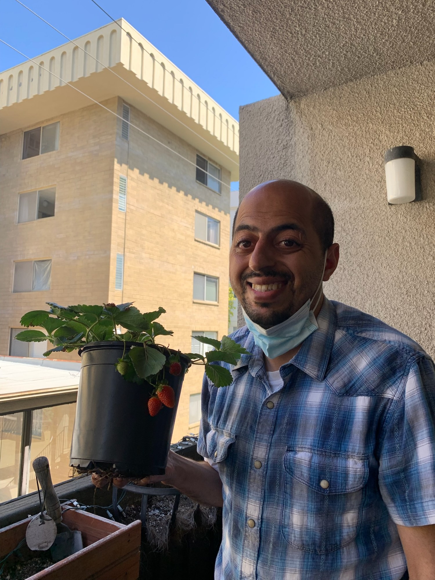 A person holding a potted strawberry plant on a balcony.